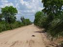 endless pantanal road - but beware of otter crossing!