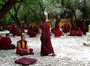  debating monks at drepung monastery