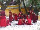  debating monks at drepung monastery
