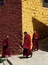  monks at ganden monastery