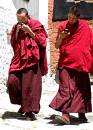  modern monks at tashilhunpo monastery, shigatse