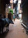  one of the thousands of narrow streets of kathmandu