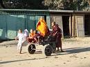  novice monks, amarapura
