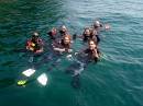 our dive crew @ ilha grande